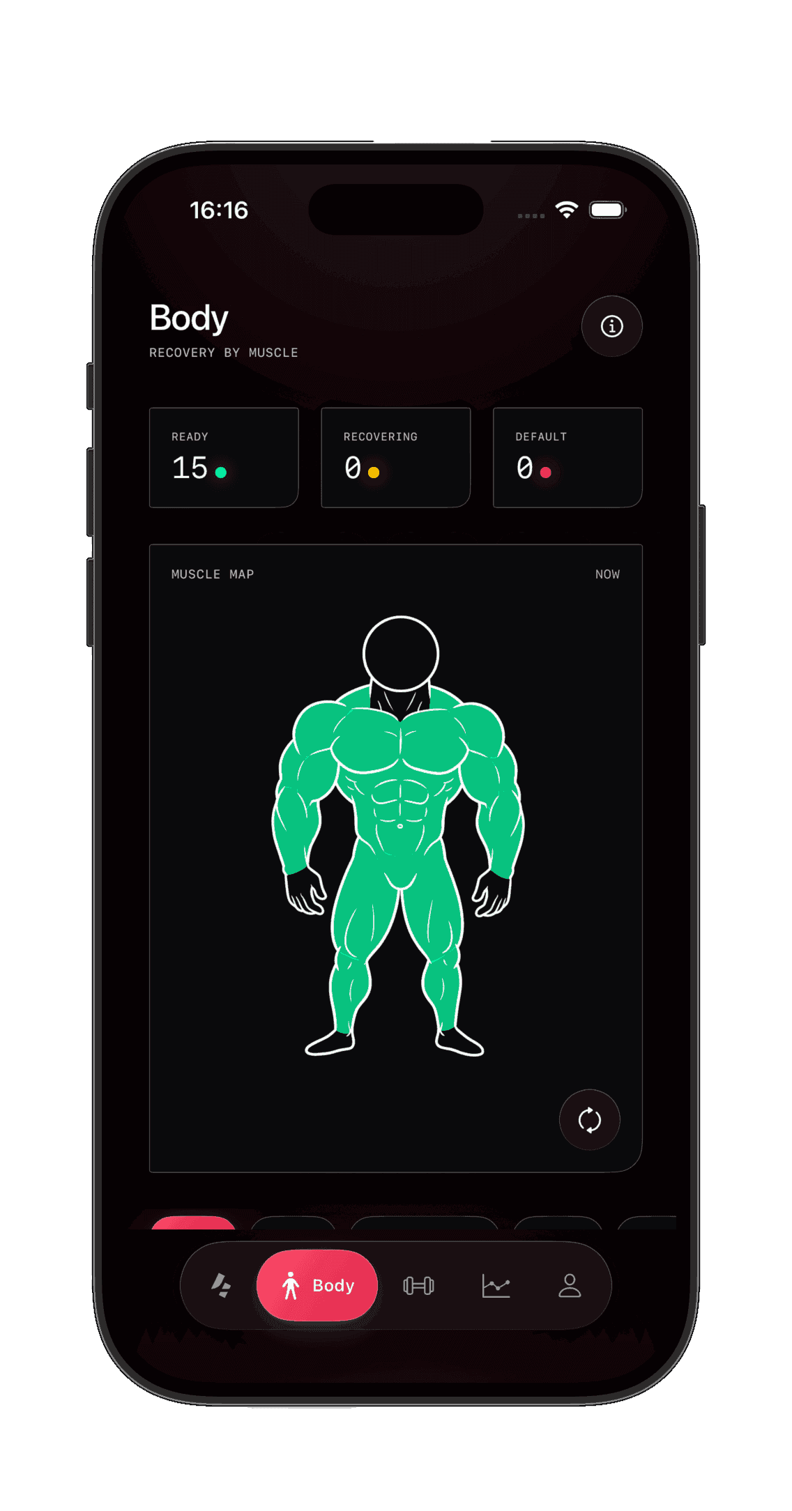 Interactive muscle map with zones colored by recovery level.